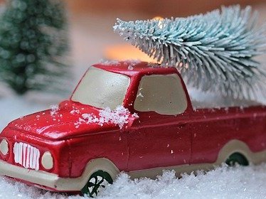 Abholung Weihnachtsbäume am 11.01.2025