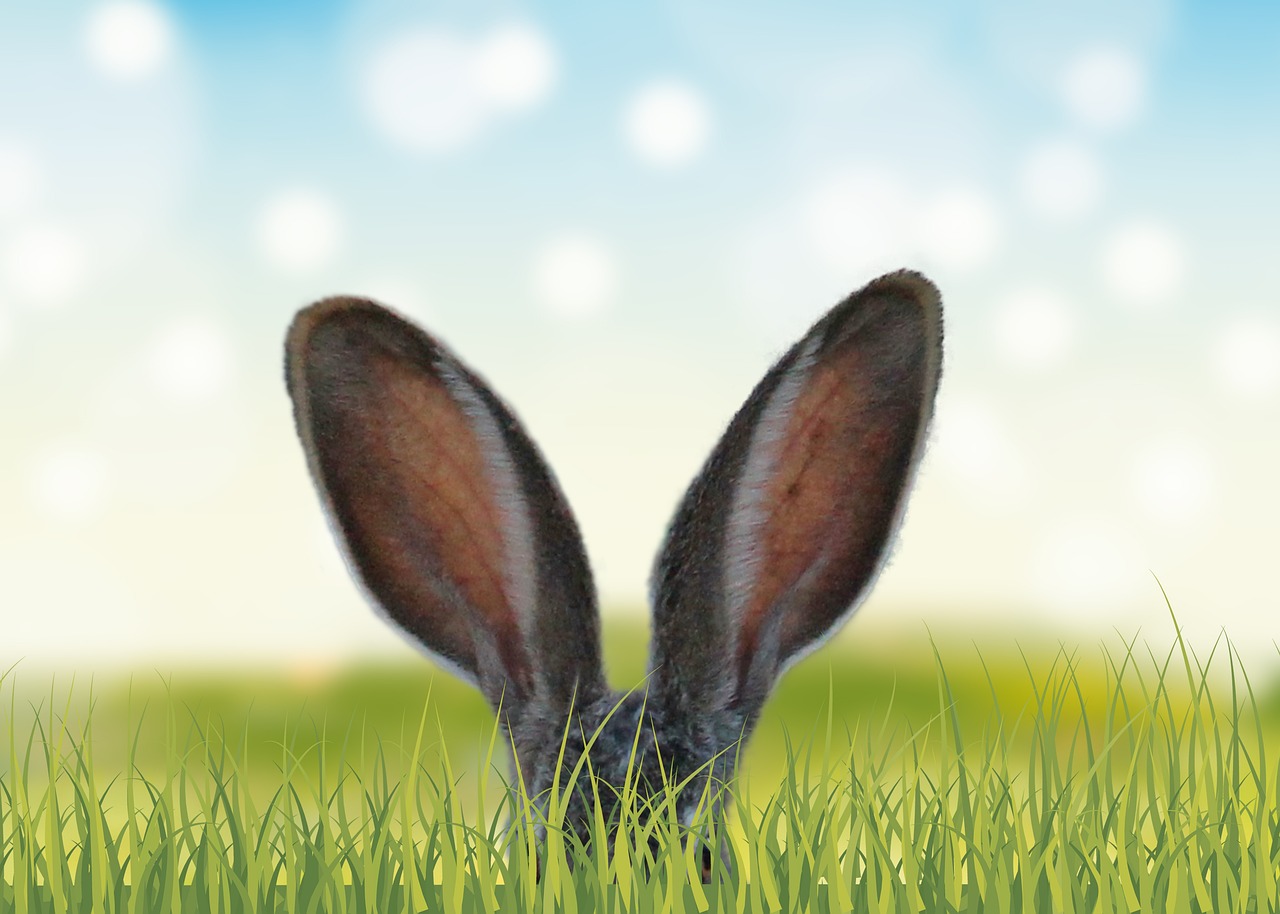 Verschiebung der Abfuhrtermine über Ostern